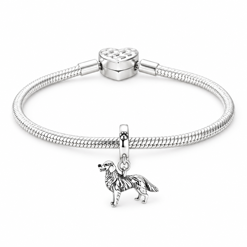 Charm chien Golden Retriever – vue 3